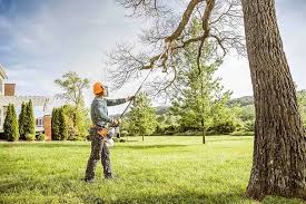 Best Lawn Pest Prevention  in Kachina Village, AZ